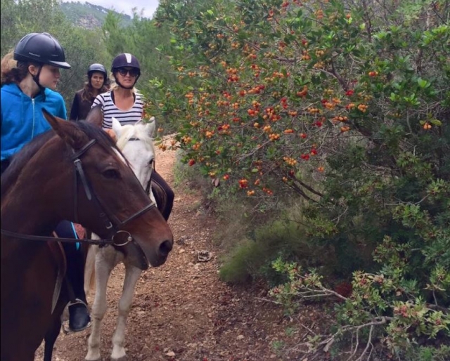 A lado del arbol con frutos